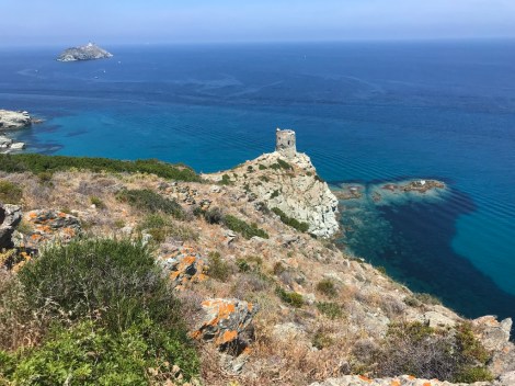 96C983ED-8726-43BA-A799-2189DBD048F3_1_105_c